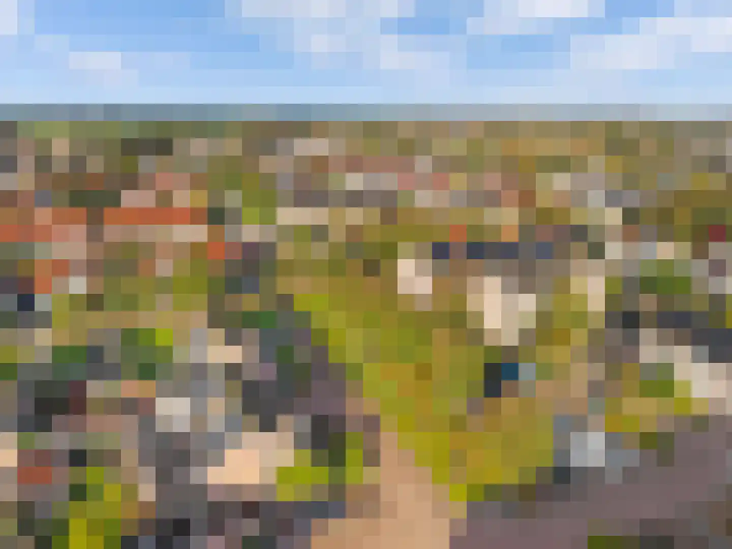 Keizerskroon 20 Limmen thumbnail 53