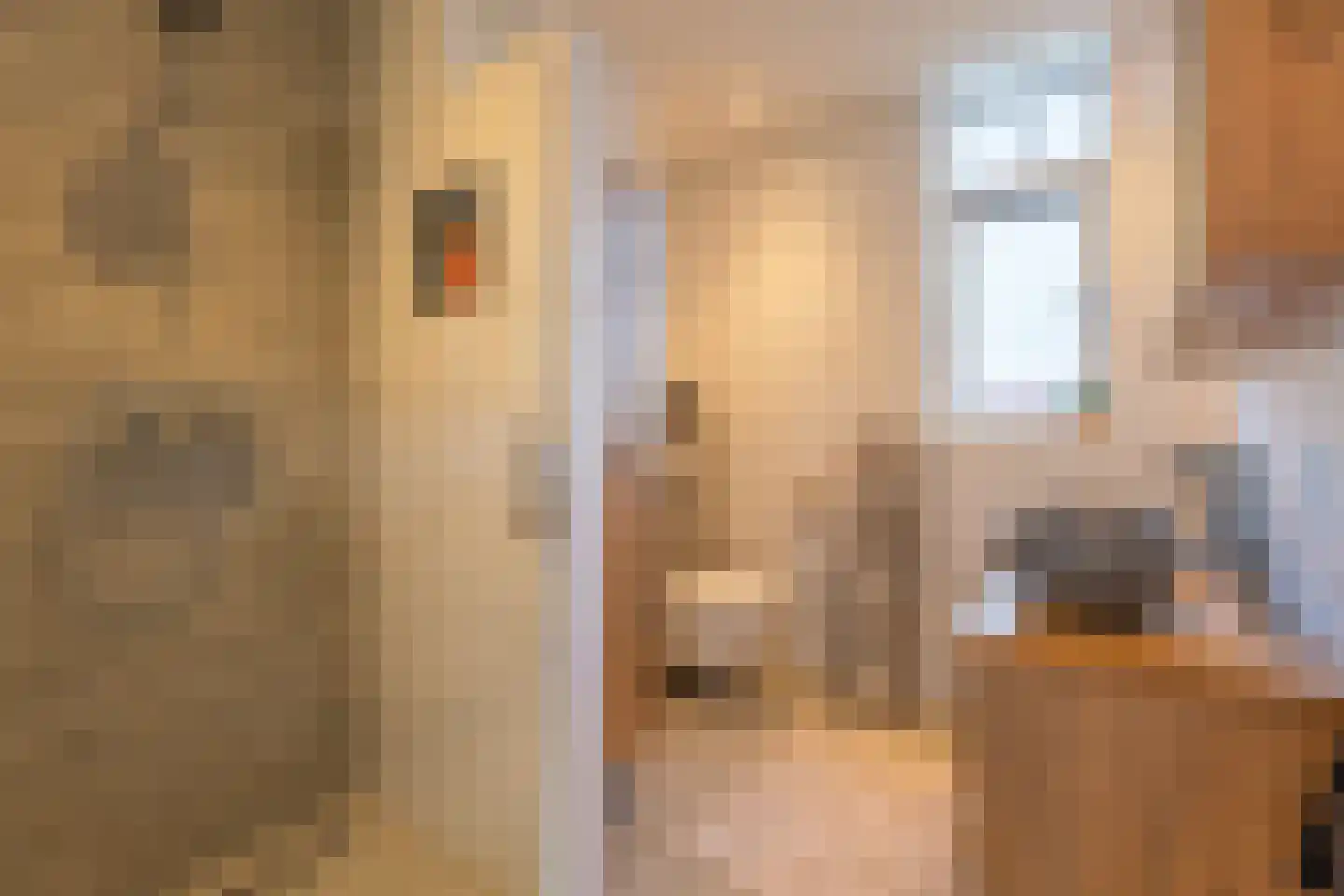 Keizerskroon 20 Voorhout thumbnail 18