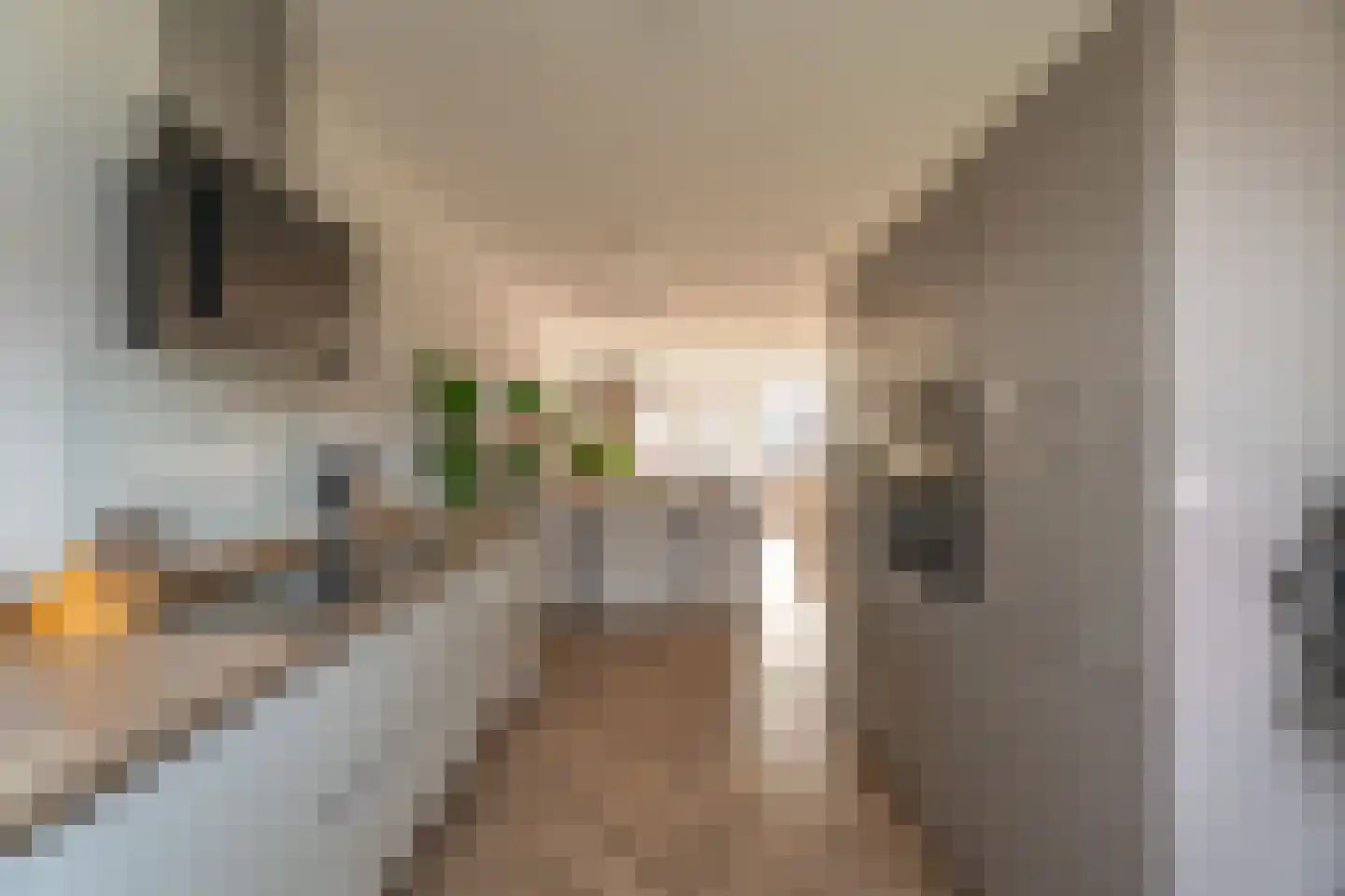 Keizerskroon 20 Voorhout thumbnail 9