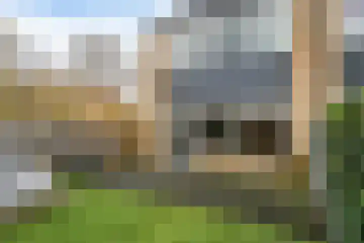 Keizerskroon 213 Leeuwarden thumbnail 17