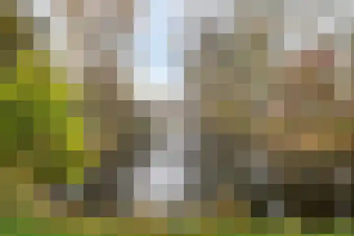 Keizerskroon 213 Leeuwarden thumbnail 43