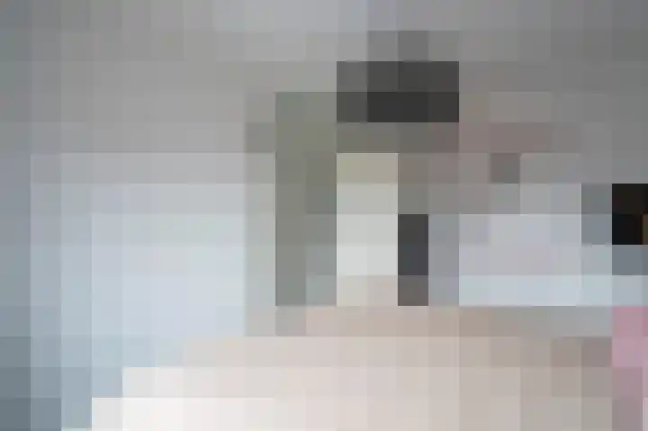 Keizerskroon 25 Papendrecht thumbnail 18