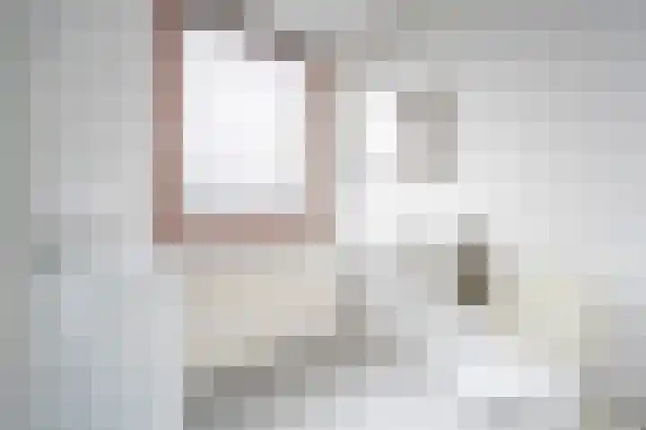 Keizerskroon 25 Papendrecht thumbnail 21