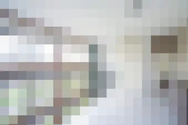 Keizerskroon 25 Papendrecht thumbnail 23