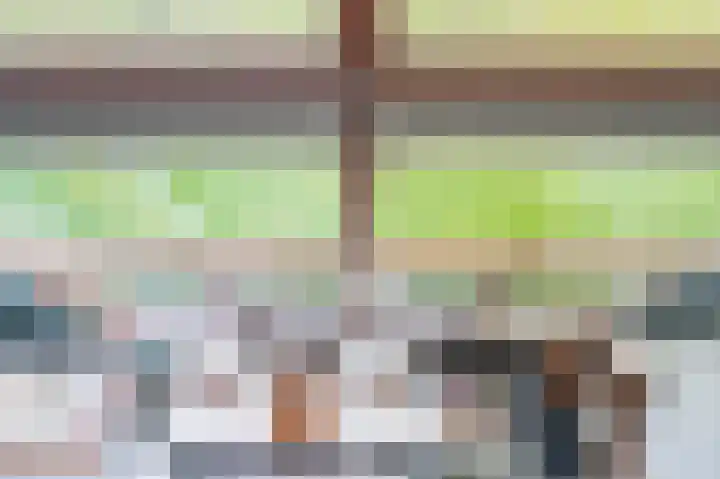Keizerskroon 25 Papendrecht thumbnail 24