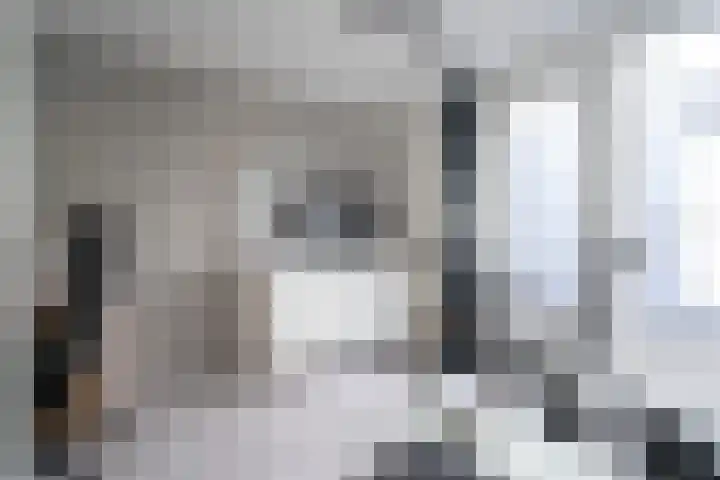 Keizerskroon 25 Papendrecht thumbnail 30