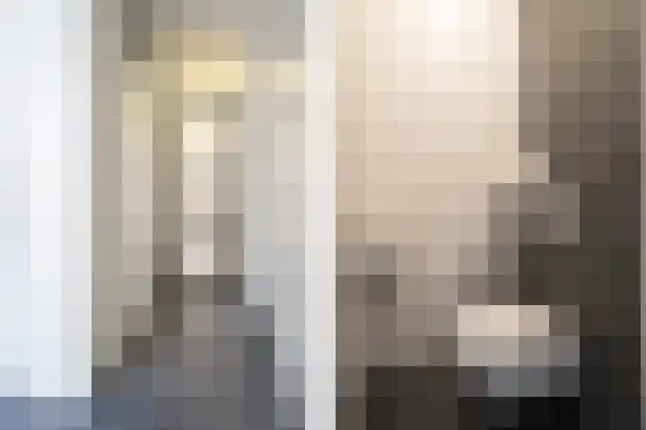 Keizerskroon 25 Papendrecht thumbnail 6