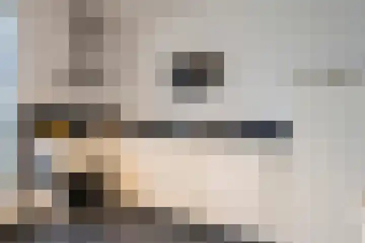 Keizerskroon 25 Papendrecht thumbnail 8