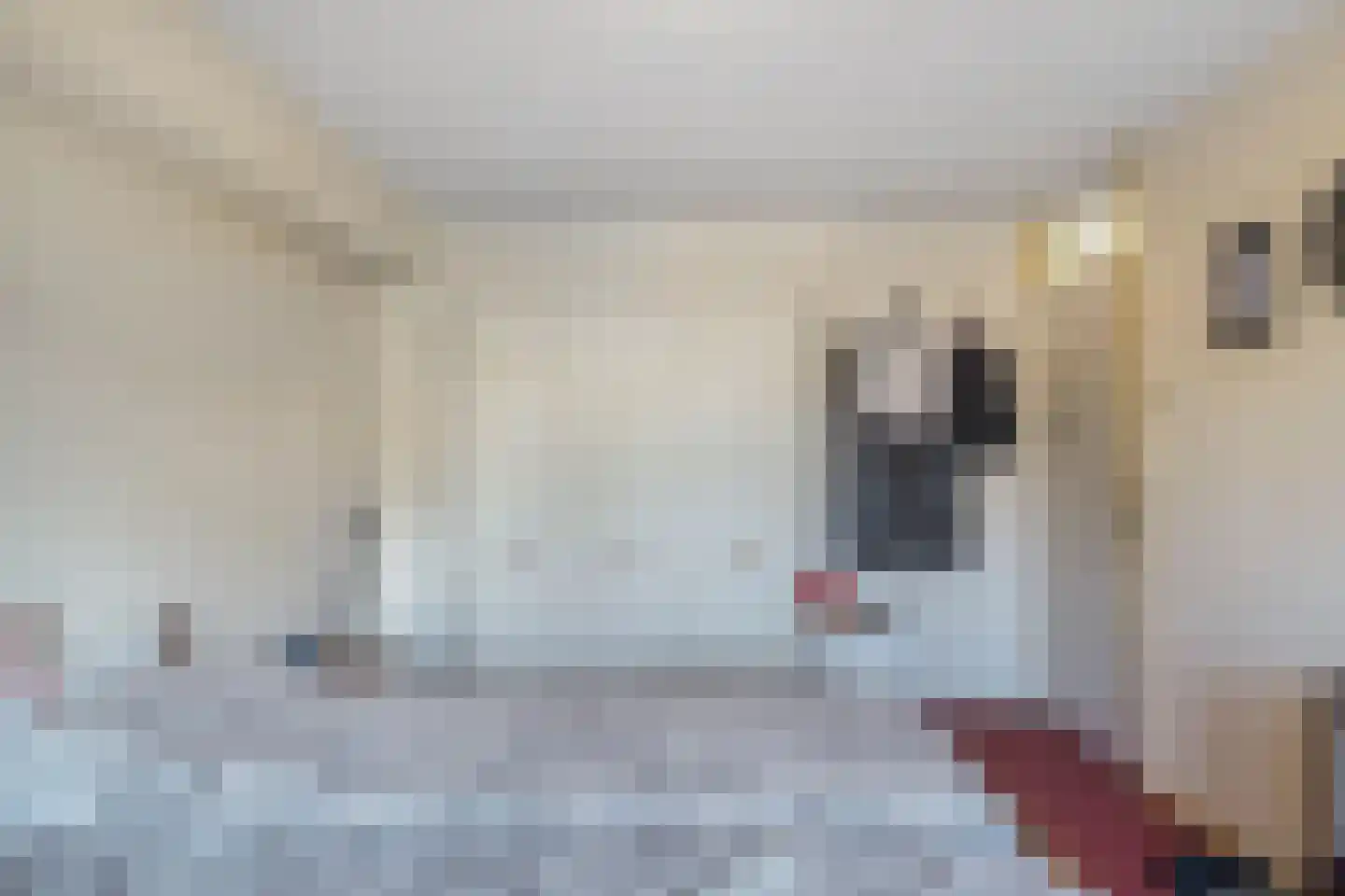 Keizerskroon 26 Beverwijk thumbnail 20
