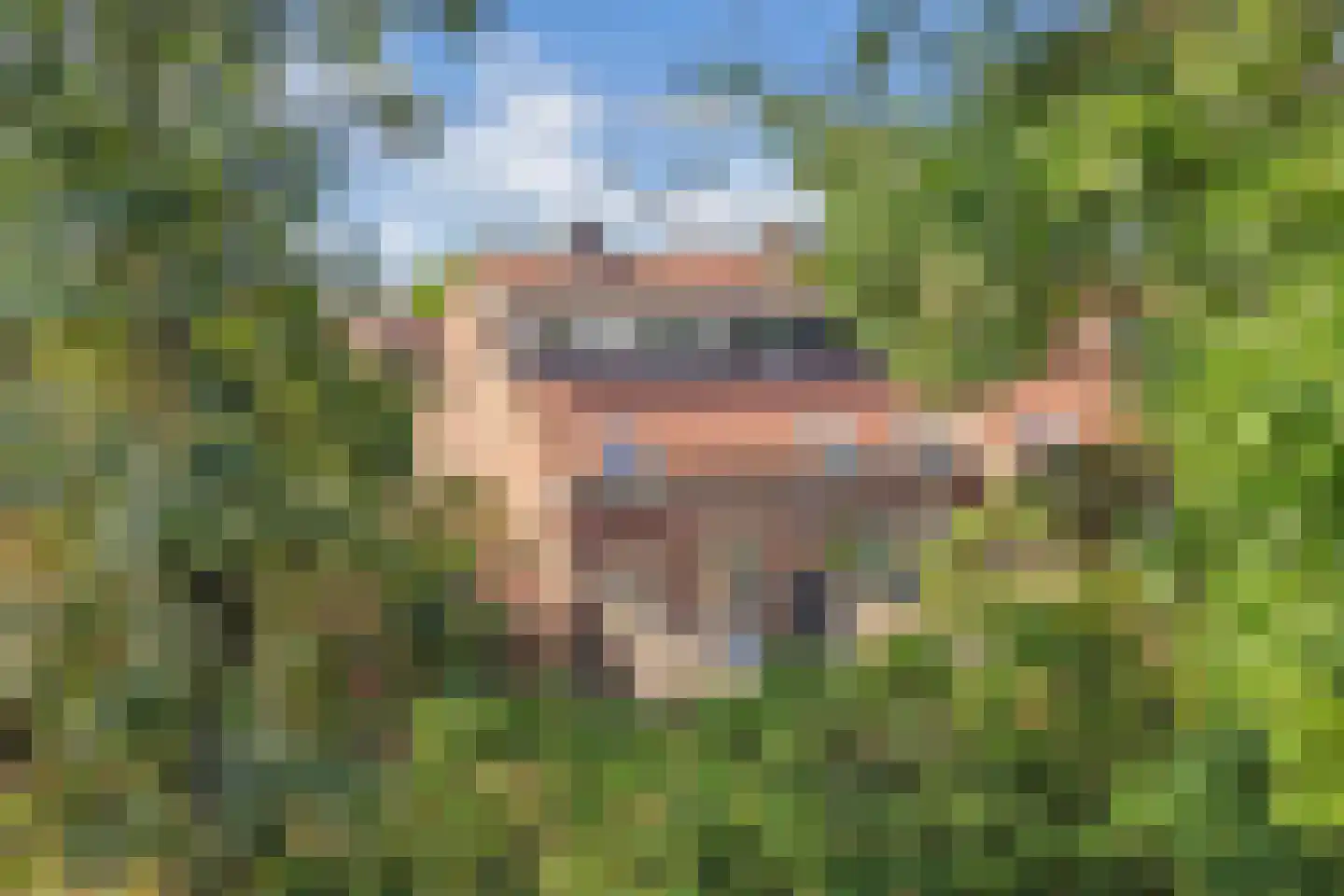 Keizerskroon 26 Beverwijk thumbnail 39
