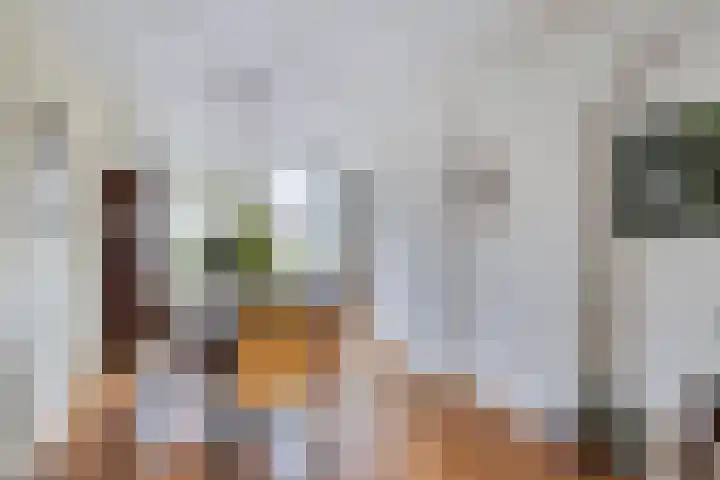 Keizerskroon 28 Nootdorp thumbnail 14
