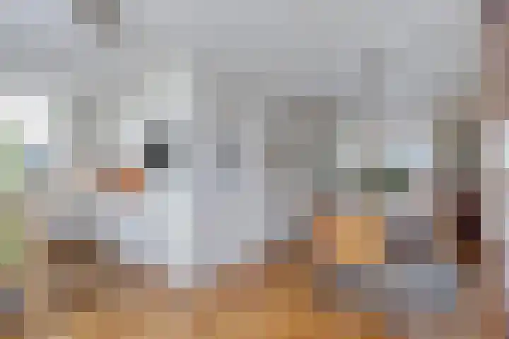 Keizerskroon 28 Nootdorp thumbnail 15