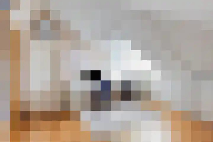 Keizerskroon 28 Nootdorp thumbnail 25