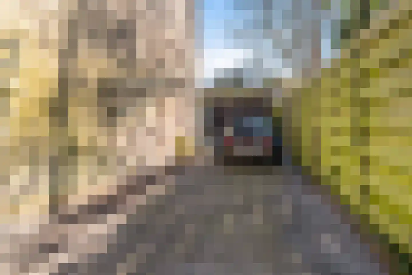 Keizerskroon 283 Leeuwarden thumbnail 34