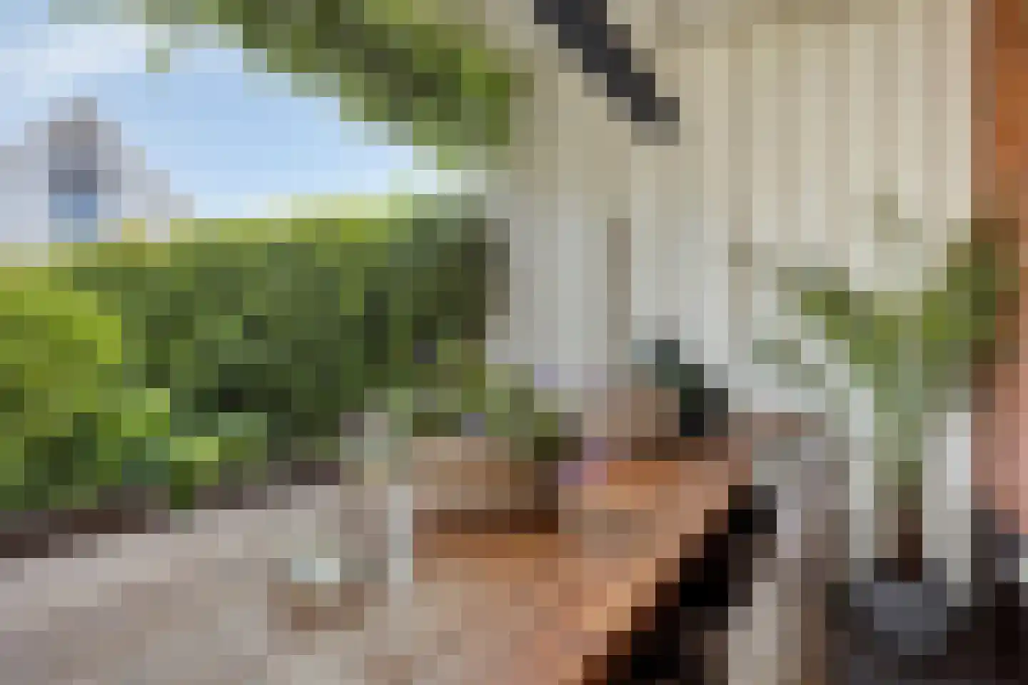 Keizerskroon 29 Voorhout thumbnail 13