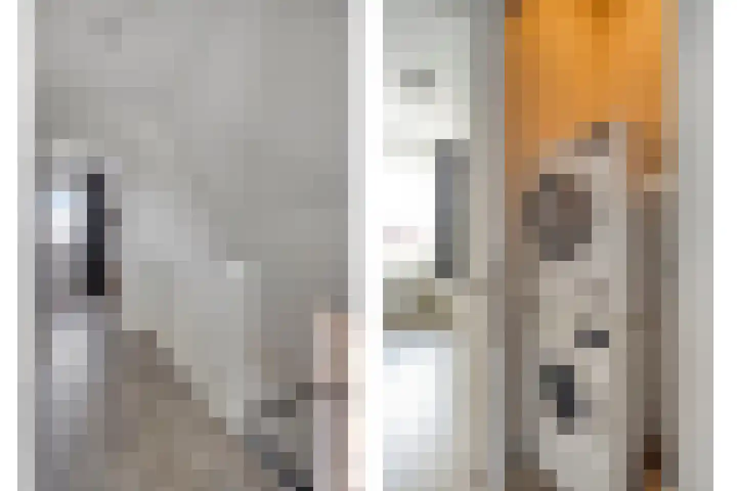 Keizerskroon 29 Voorhout thumbnail 42
