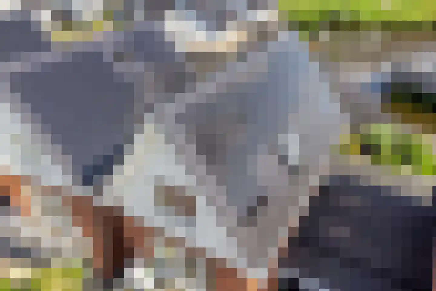 Keizerskroon 29 Voorhout thumbnail 51