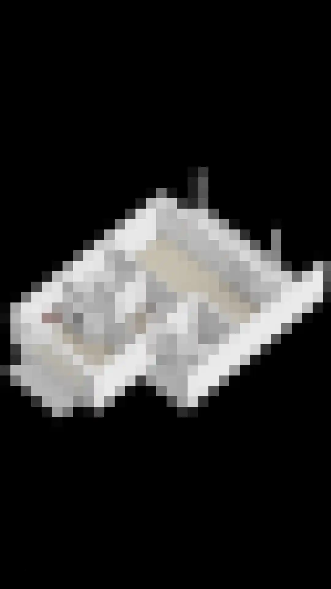 Keizerskroon 29 Voorhout thumbnail 57