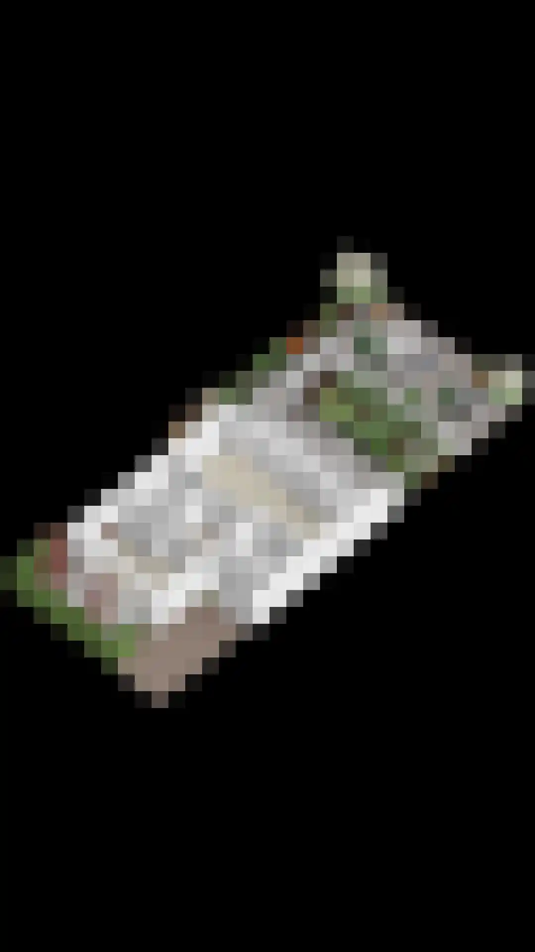 Keizerskroon 29 Voorhout thumbnail 58