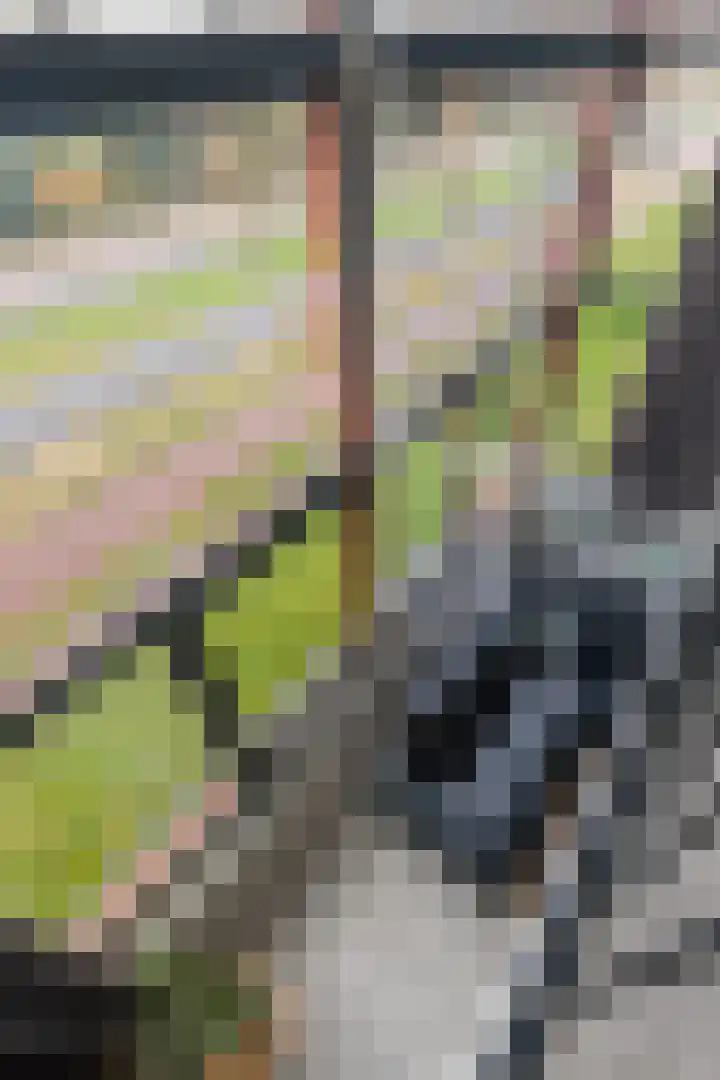 Keizerskroon 35 Papendrecht thumbnail 14