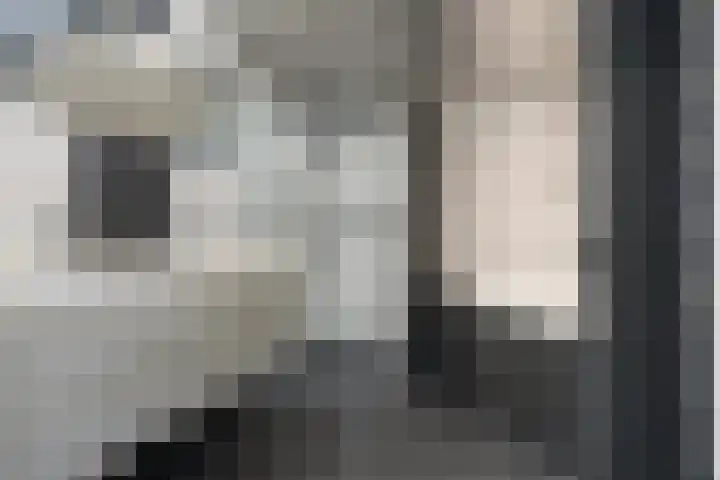 Keizerskroon 35 Papendrecht thumbnail 15