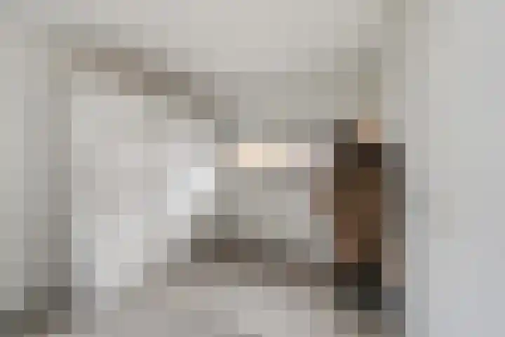 Keizerskroon 35 Papendrecht thumbnail 17