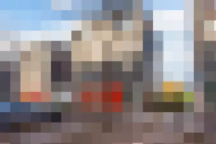 Keizerskroon 35 Papendrecht thumbnail 20