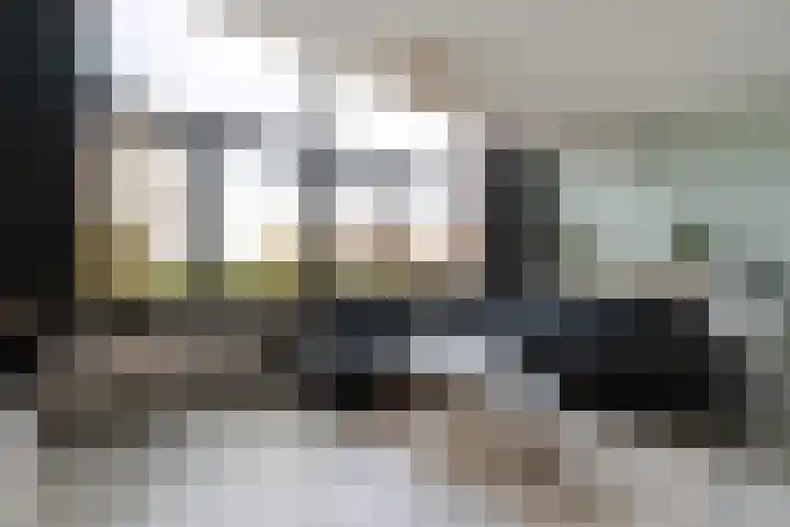 Keizerskroon 35 Papendrecht thumbnail 6