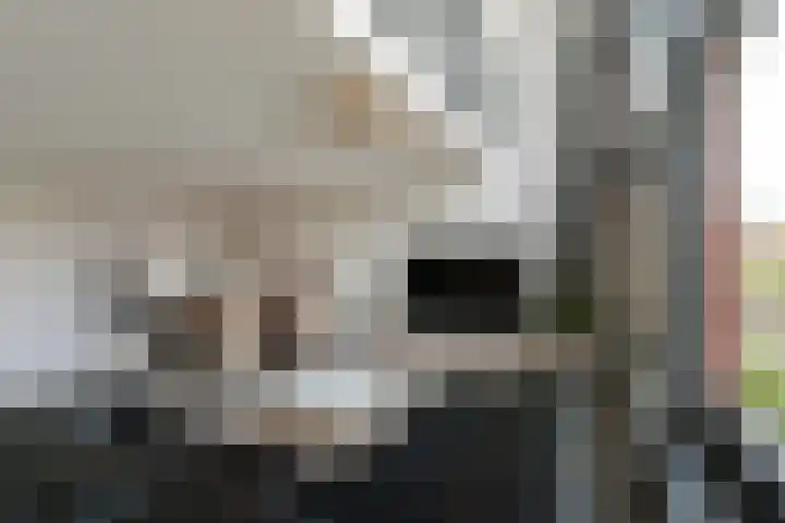 Keizerskroon 35 Papendrecht thumbnail 7