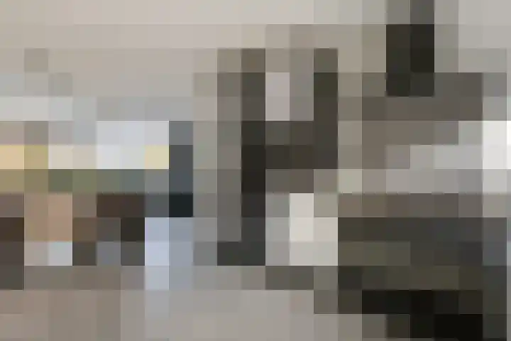 Keizerskroon 35 Papendrecht thumbnail 9