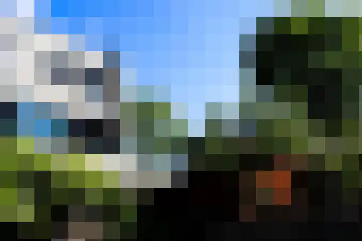 Keizerskroon 38 Papendrecht thumbnail 13