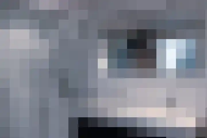 Keizerskroon 38 Papendrecht thumbnail 21