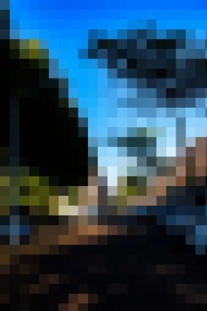 Keizerskroon 38 Papendrecht thumbnail 4