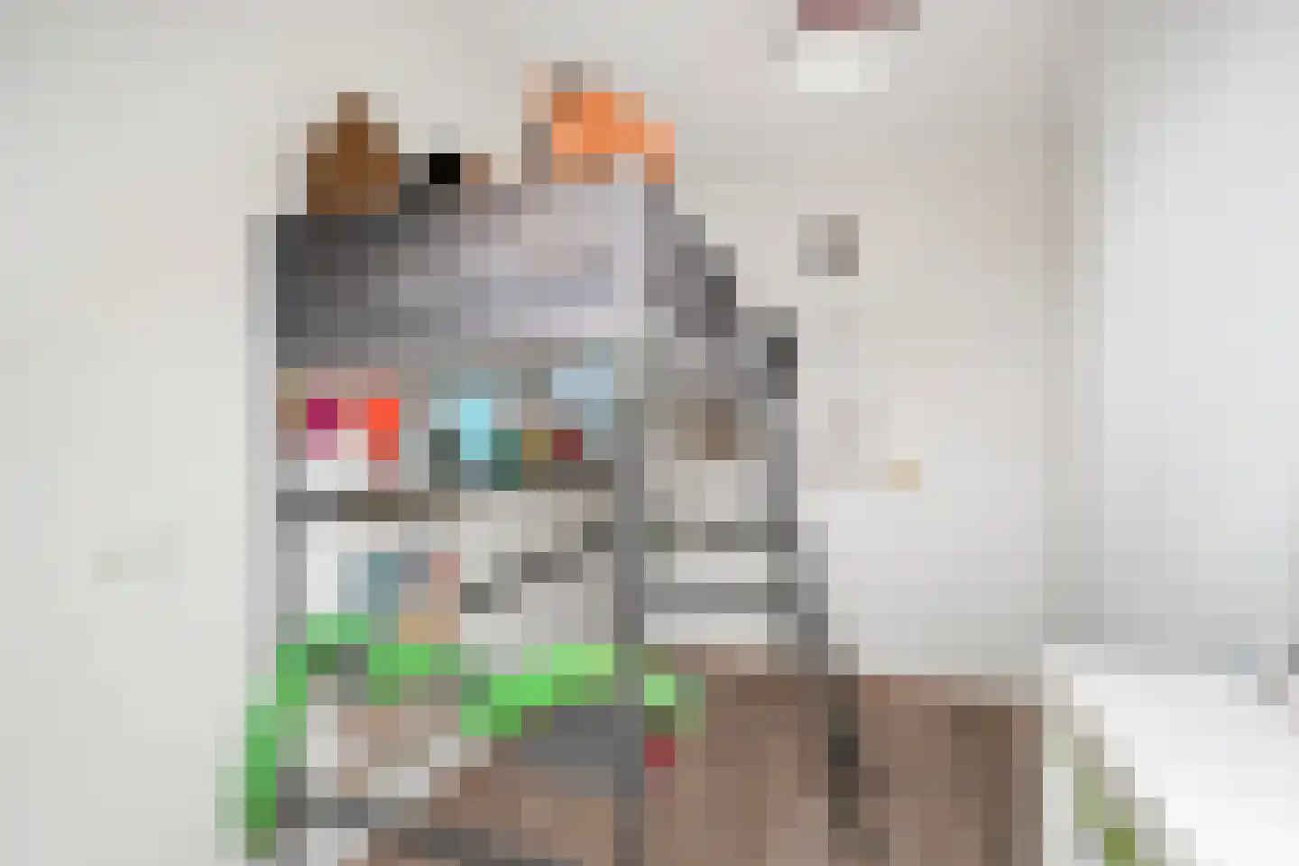Keizerskroon 4 Breezand thumbnail 18