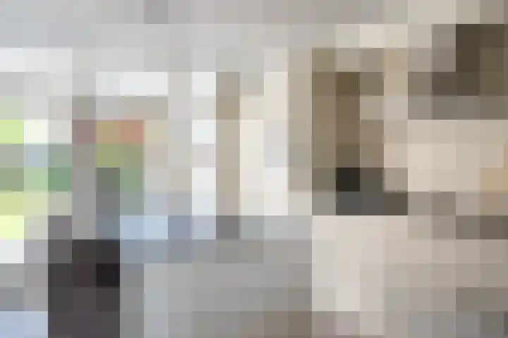Keizerskroon 44 Losser thumbnail 19