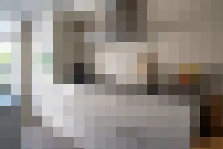 Keizerskroon 44 Losser thumbnail 20