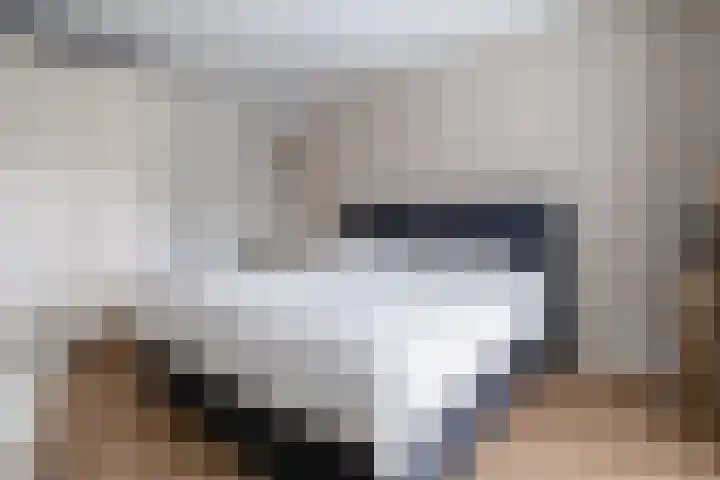 Keizerskroon 44 Losser thumbnail 24