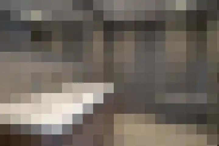 Keizerskroon 44 Losser thumbnail 26