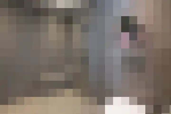 Keizerskroon 44 Losser thumbnail 27