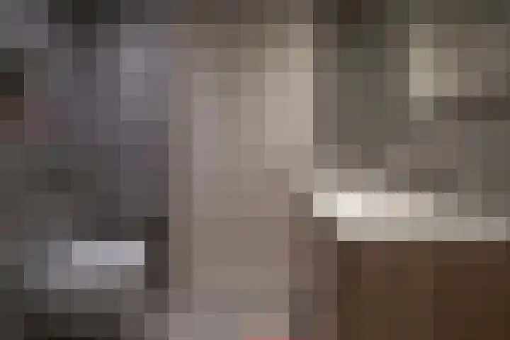 Keizerskroon 44 Losser thumbnail 28