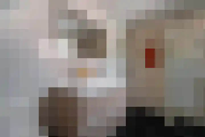 Keizerskroon 44 Losser thumbnail 34