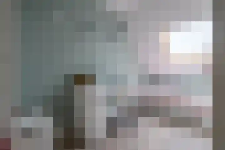 Keizerskroon 44 Losser thumbnail 35