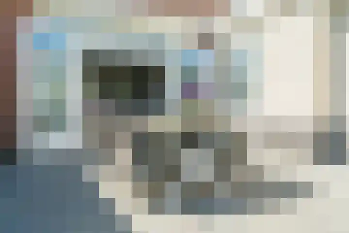Keizerskroon 44 Losser thumbnail 44