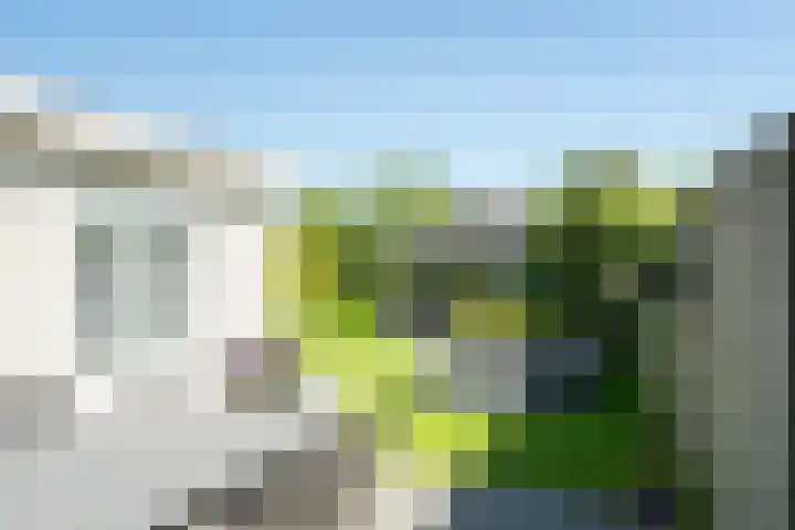 Keizerskroon 44 Losser thumbnail 45