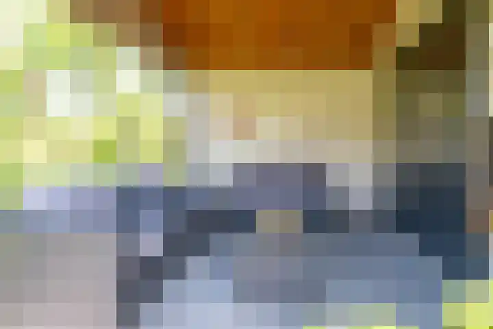 Keizerskroon 44 Losser thumbnail 46