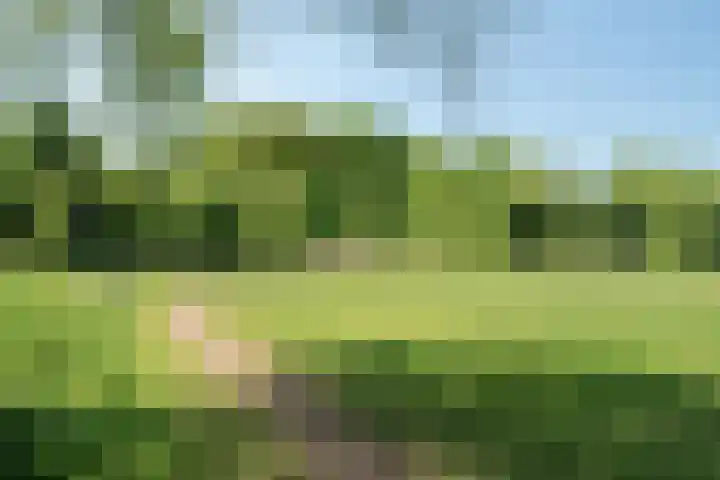 Keizerskroon 44 Losser thumbnail 48