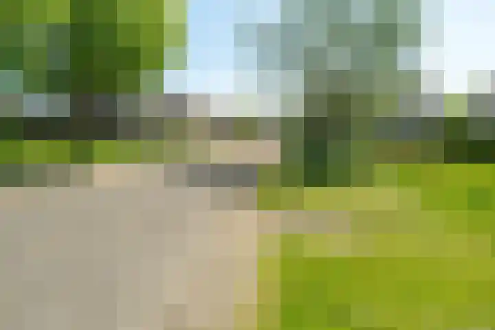 Keizerskroon 44 Losser thumbnail 49