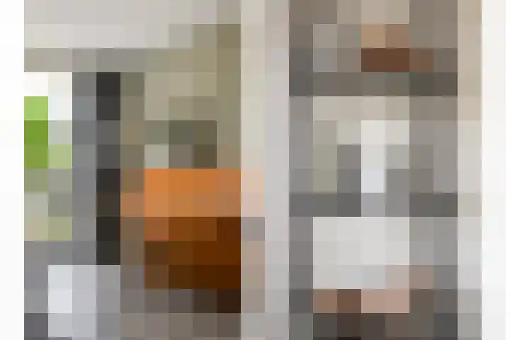 Keizerskroon 46 Losser thumbnail 10