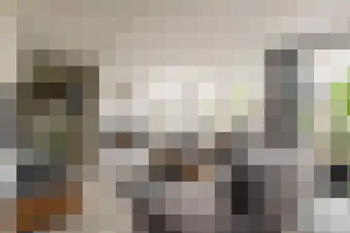 Keizerskroon 46 Losser thumbnail 12