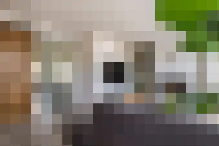 Keizerskroon 46 Losser thumbnail 15